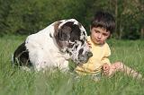 ENFANT ET CHIEN 540